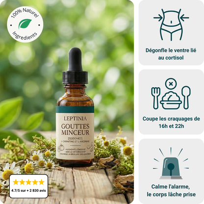 Leptinia - Complement alimentaire